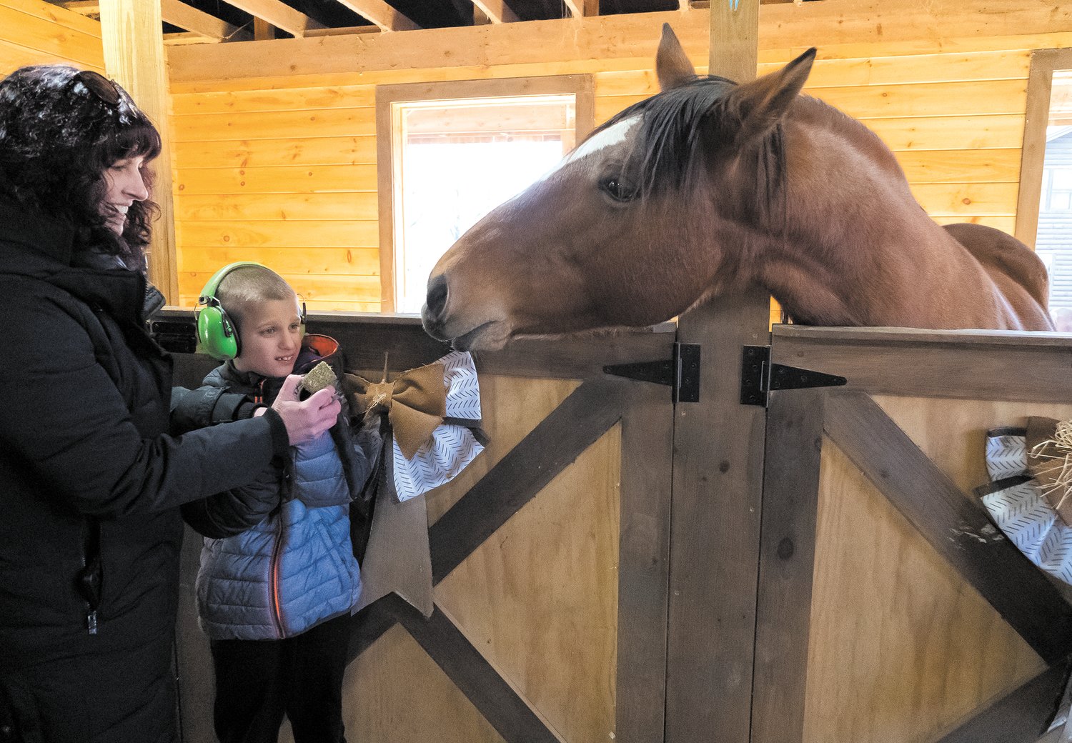 FEED CUBE TIME: Stephanie Ourique Pinto and Domenic Pinto try their hands at feeding Jackie, one of Equi Evolution's horses, a feed cube during Stone Hill Elementary School's field trip on Nov. 23. This was the first field trip for most, if not all, of the students.